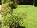 Sommerimpressionen