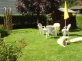 Sommerimpressionen