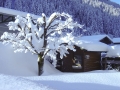 Winterimpressionen