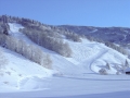 Winterimpressionen
