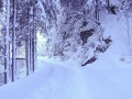 Winterimpressionen