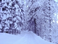 Winterimpressionen