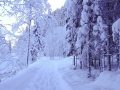 Winterimpressionen